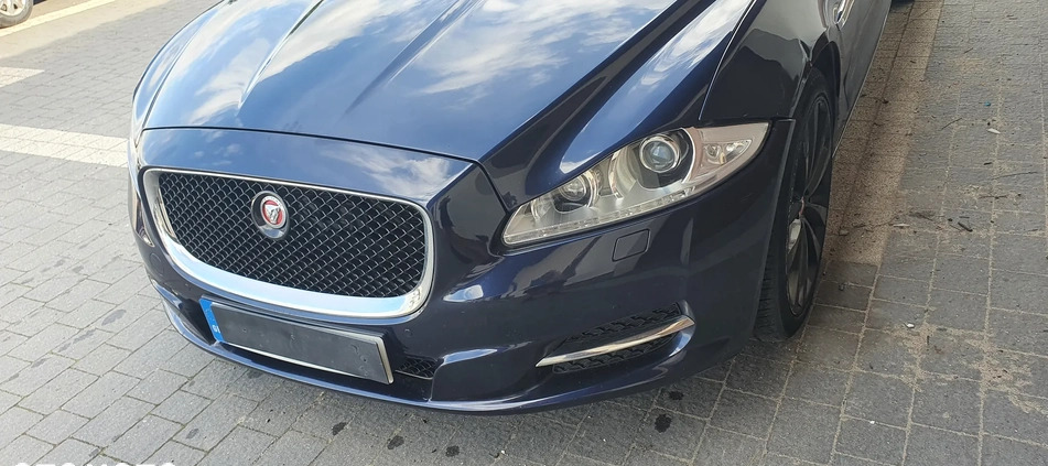 Jaguar XJ cena 40500 przebieg: 182000, rok produkcji 2014 z Kościan małe 379